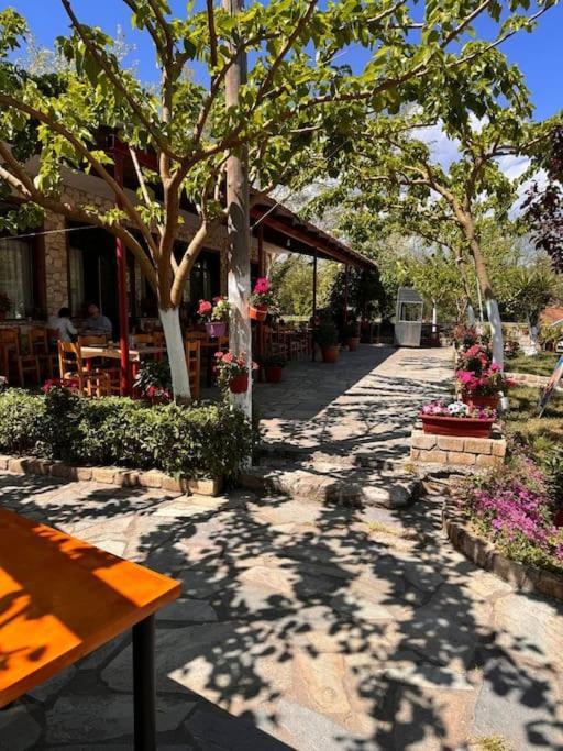 Family Woodland Oasis Vipgreece Apartamento Kírinthos Exterior foto