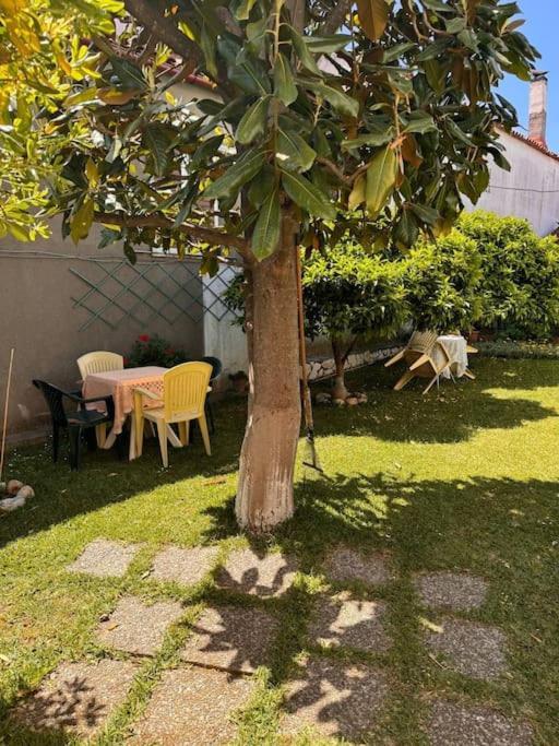 Family Woodland Oasis Vipgreece Apartamento Kírinthos Exterior foto